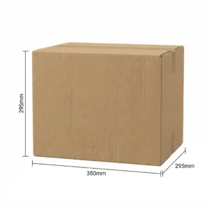 350x295x295mm - Kraft, Double Wall, 10/Piece