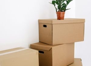 From Paper to Planet-Friendly: How Eco Cardboard Boxes Are Made