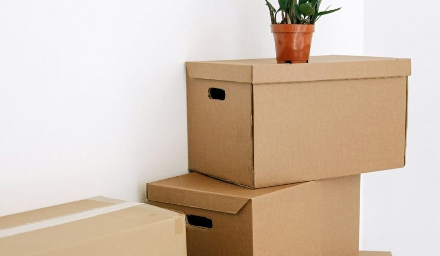 From Paper to Planet-Friendly: How Eco Cardboard Boxes Are Made